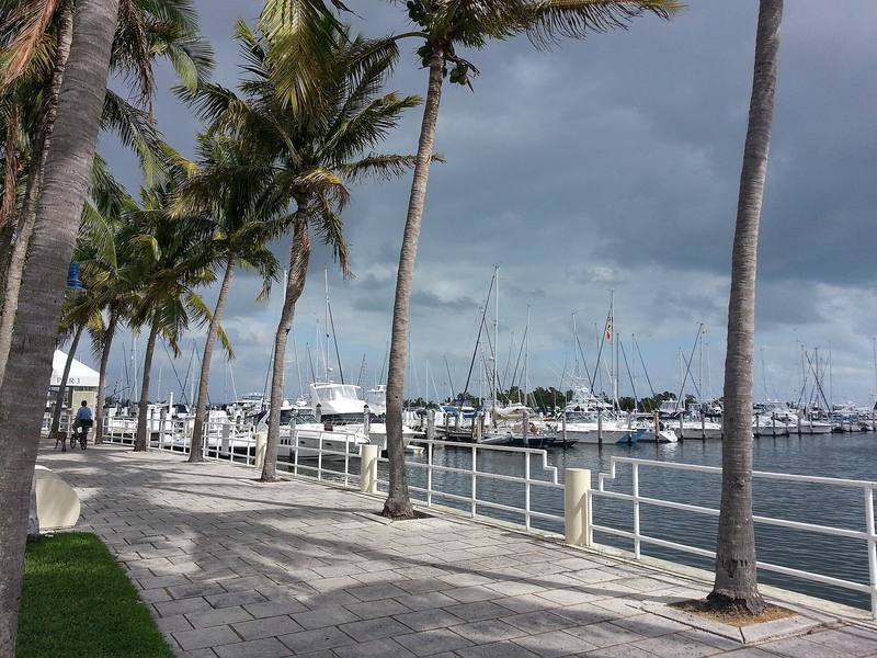Palm-lined bayfront walk at Dinner Key Marina